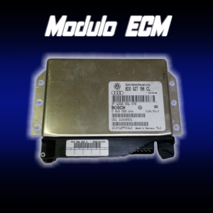 Modulo ECM